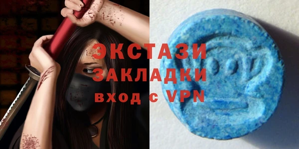 индика Кинешма