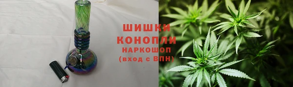 индика Кинешма