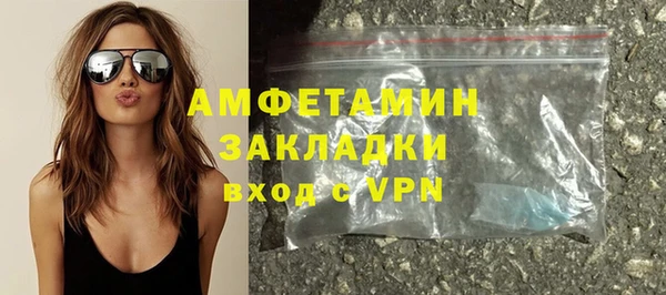 индика Кинешма