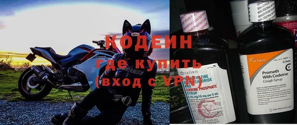 индика Кинешма