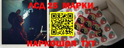гидропоника Тула