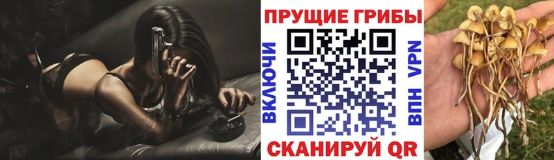 Галлюциногенные грибы GOLDEN TEACHER  купить наркоту  Алатырь 
