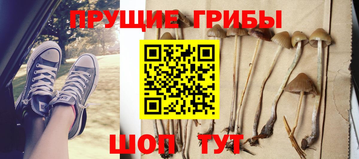 Псилоцибиновые грибы GOLDEN TEACHER Алатырь