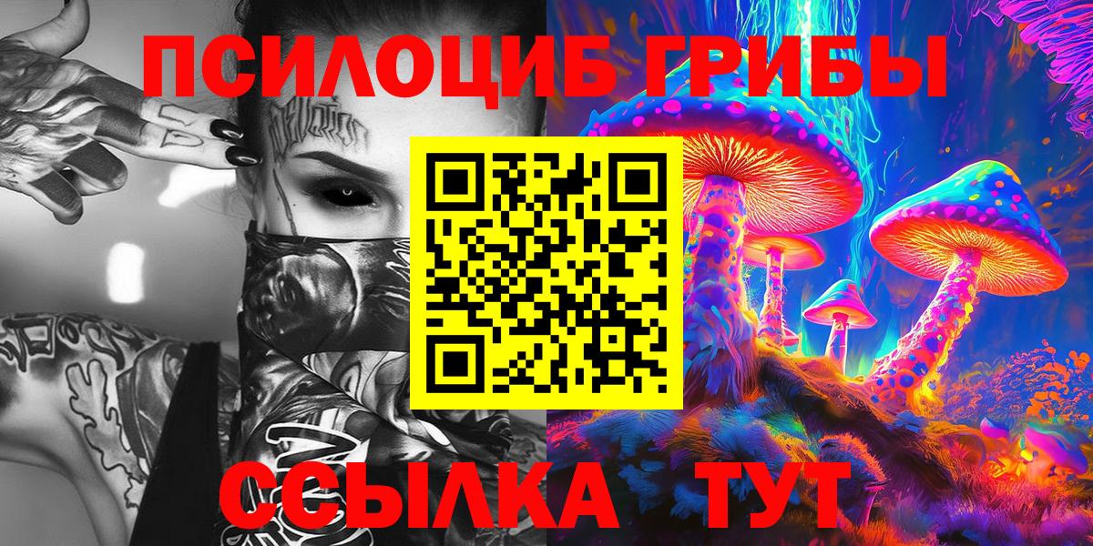 Алатырь  Псилоцибиновые грибы прущие грибы  наркотики  Вход с VPN  Псилоцибиновые грибы Psilocybe 