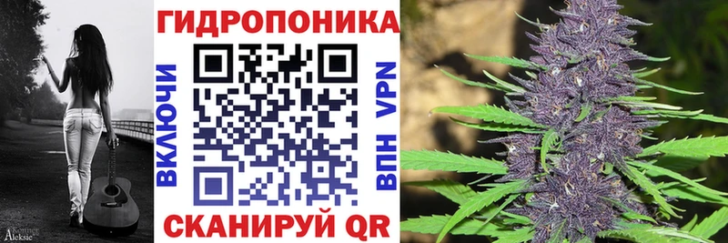 Бошки Шишки ГИДРОПОН  Алатырь 