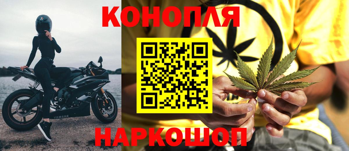 Алатырь  Каннабис планчик  Бошки Шишки ГИДРОПОН  Вход с VPN  Каннабис семена 